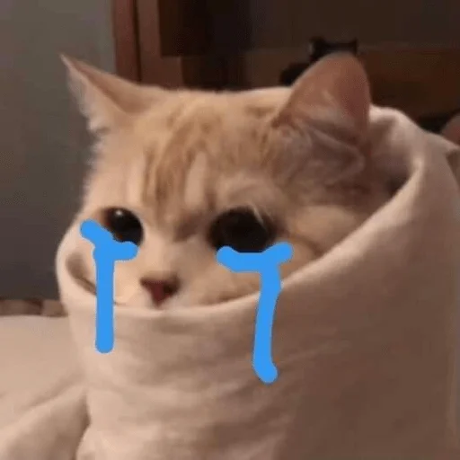 Sticker piecoquette - 1