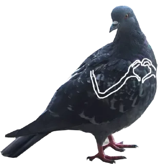 Стикер Больше стикеров тут: @stickers_memy - 1