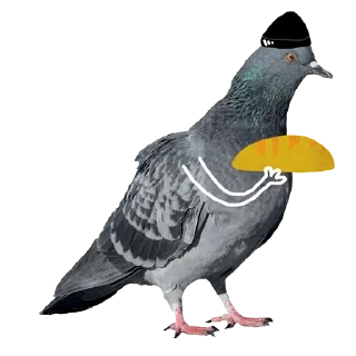 Стикер Больше стикеров тут: @stickers_memy - 11