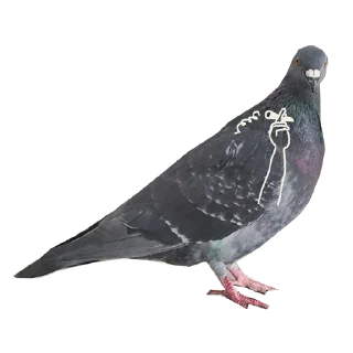 Стикер Больше стикеров тут: @stickers_memy - 3