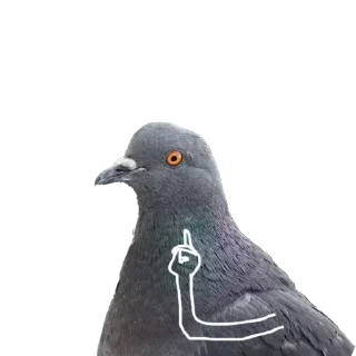 Стикер Больше стикеров тут: @stickers_memy - 2