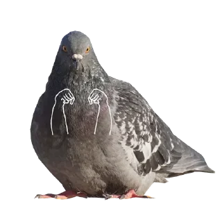 Стикер Больше стикеров тут: @stickers_memy - 4