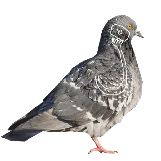 Стикер Больше стикеров тут: @stickers_memy - 10