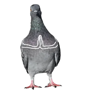 Стикер Больше стикеров тут: @stickers_memy - 8