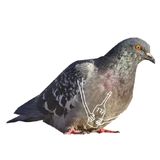 Стикер Больше стикеров тут: @stickers_memy - 7