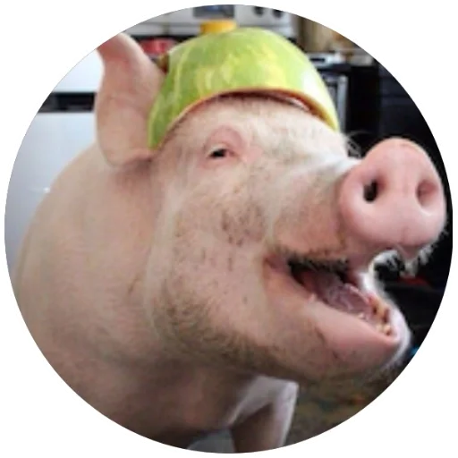 Человек плоть кожа