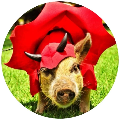 животное млекопитающее трава