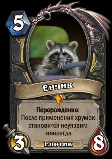 СМС енот млекопитающее