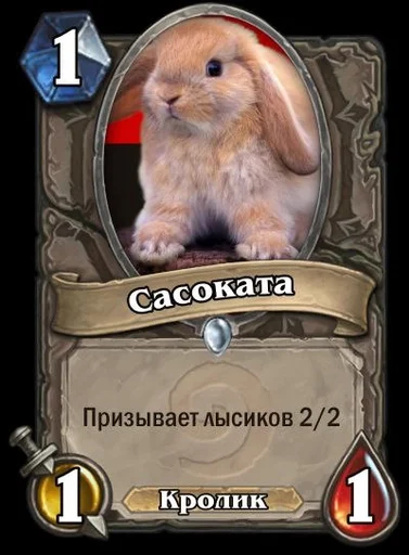 млекопитающее животное СМС