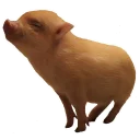 Sticker Vivi The Piggy - 1