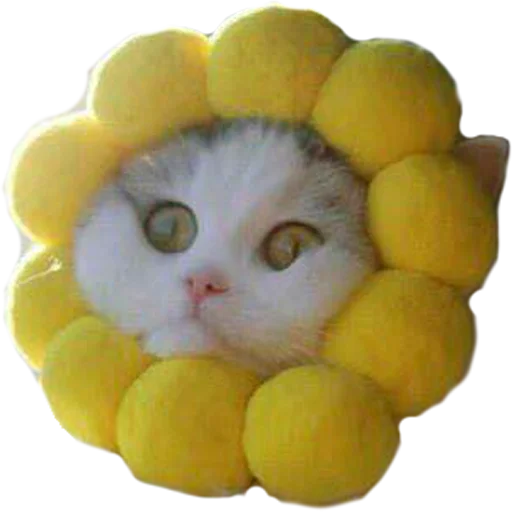 кошка игрушка кошки малого и среднего размера