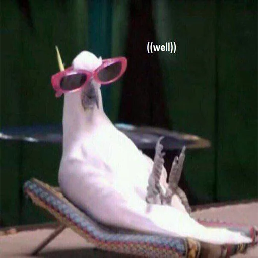 животное птица клюв