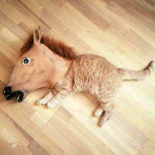 этаж животное млекопитающее