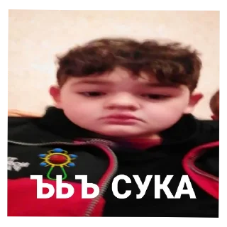 Стикер rasimvolodyapidori - 9