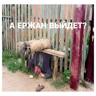 Стикер rasimvolodyapidori - 11