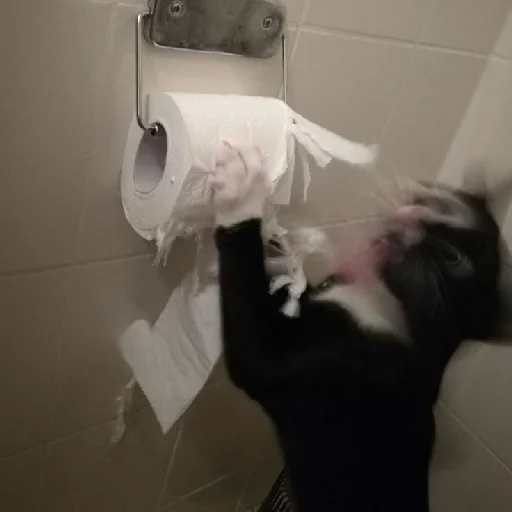 indoor wall bathroom