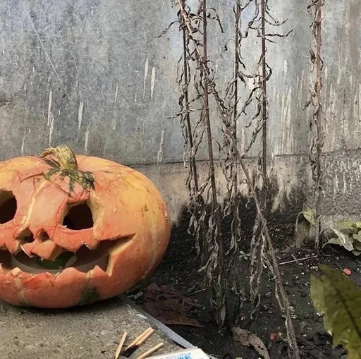 vegetable halloween pumpkin