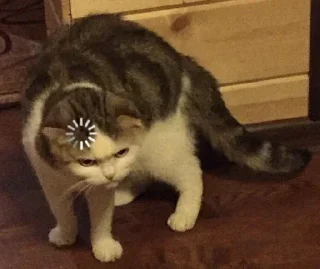 Sticker Пикчи "Нет слов, одни эмоции" @KALISANDROVNA (№1) - 10