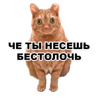 Sticker Пикчи для общения с девочками - 10