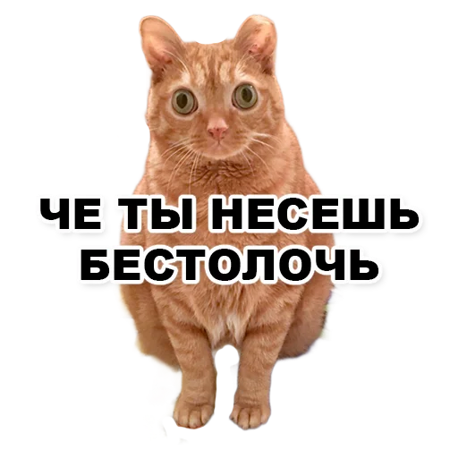 Sticker pikchidlyaobsheniyasdevushkami - 1