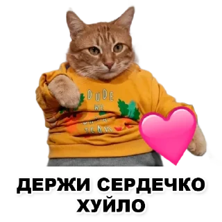 Sticker Пикчи для общения с девочками - 7