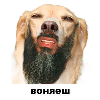 Sticker Пикчи для общения с девочками - 0
