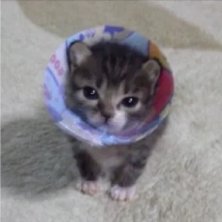 Sticker пылесборник (by @bleeegh) - 3