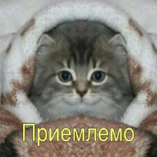 Sticker пылесборник (by @bleeegh) - 5