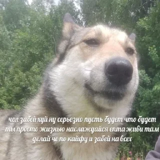 Sticker пылесборник (by @bleeegh) - 9