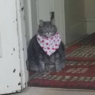 Sticker pilotrs01 - 8