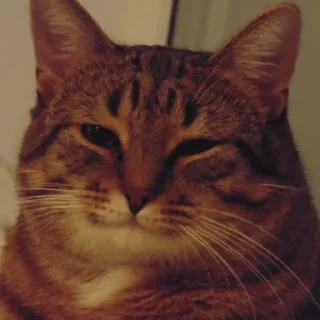 Sticker pilotrs01 - 2