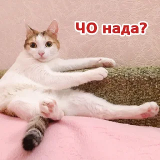 Sticker pilotrs01 - 11