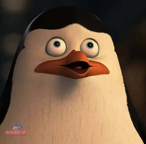 Стикер pingvinrespublika - 1