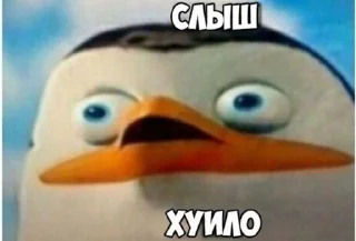 Стикер @pingvinskiyreich - 7