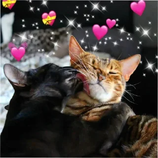 Стикер pinkycats - 0