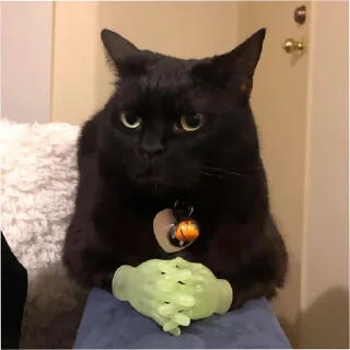 Стикер pinkycats - 2