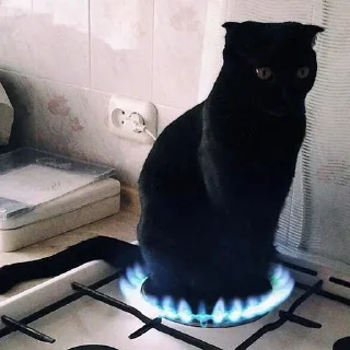 Стикер pinkycats - 11