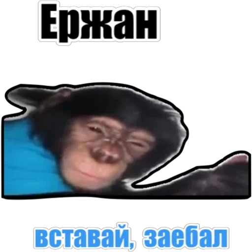 Стикер pinkishop - 1