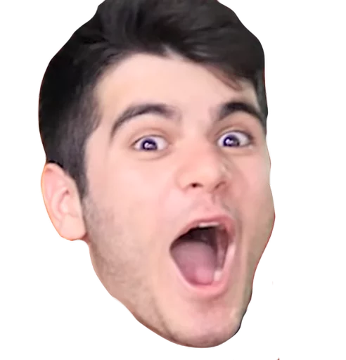 человеческое лицо челюсть щека