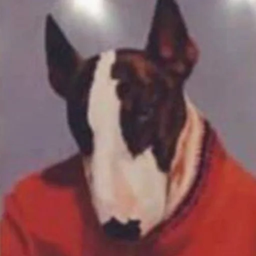 животное млекопитающее домашнее животное