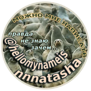 Sticker Ластоногие - 8