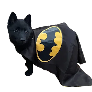 Sticker PIPERKE - 11