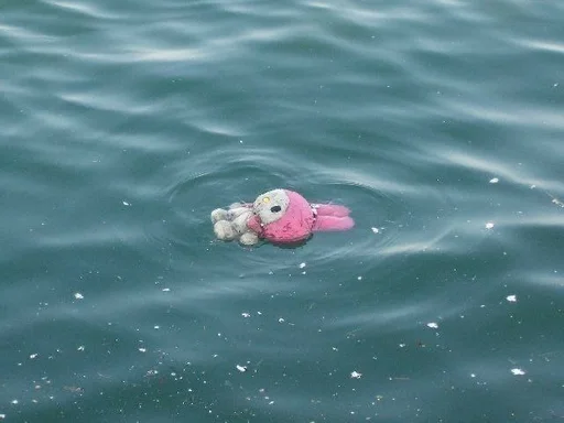 water pink swimming
