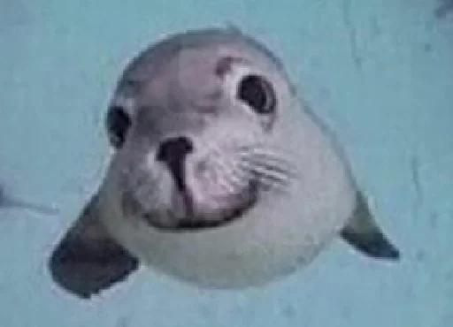 Sticker pipiska_228 - 1