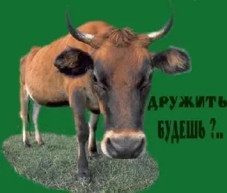 Sticker пиздец - 7