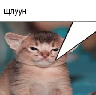 Sticker пиздец - 1