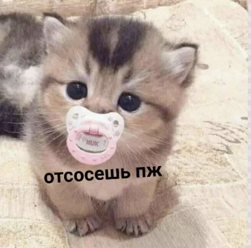 Стикер pipiskastik_by_fStikBot - 1