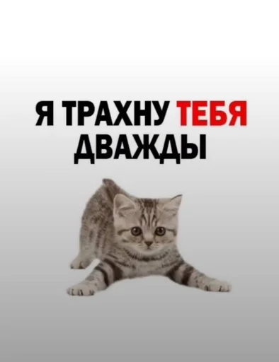 Стикер лучшие стикеры телеграмма :: @fStikBot - 6