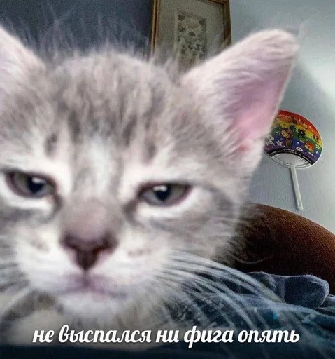 Стикер лучшие стикеры телеграмма :: @fStikBot - 5