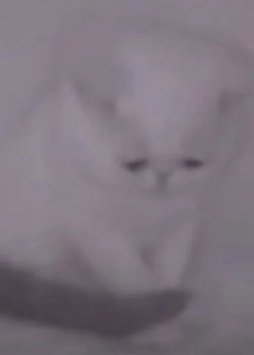 Стикер лучшие стикеры телеграмма :: @fStikBot - 1